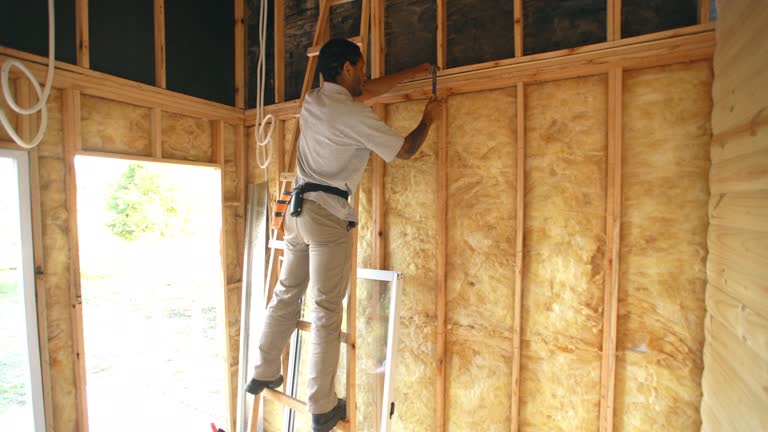 Eco-Friendly or Green Insulation Solutions in Vassar, MI